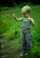 fish-1