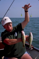 fish-19