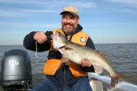 fish-2
