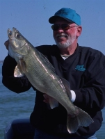 fish-7