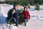kids-and-christmas-tree