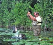 largemouth-bass-fishing