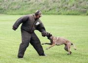 police-dog training
