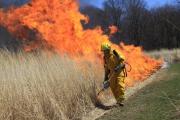 prairie-controlled-burn