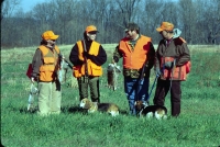 small-game-18