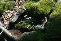 landscapes-10