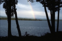 landscapes-11