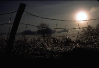 landscapes-3