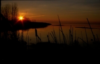 landscapes-7