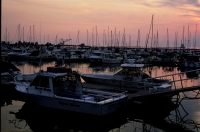 landscapes-9
