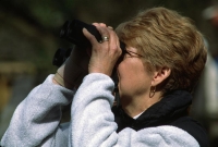 wildllife-watching-19