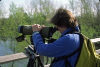 wildllife-watching-27
