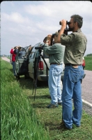 wildllife-watching-29