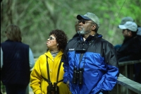 wildllife-watching-30