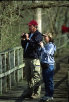 wildllife-watching-31