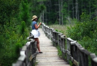 wildllife-watching-33