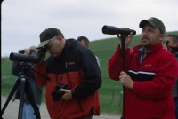 wildllife-watching-35