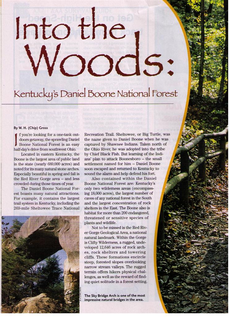 woods-1